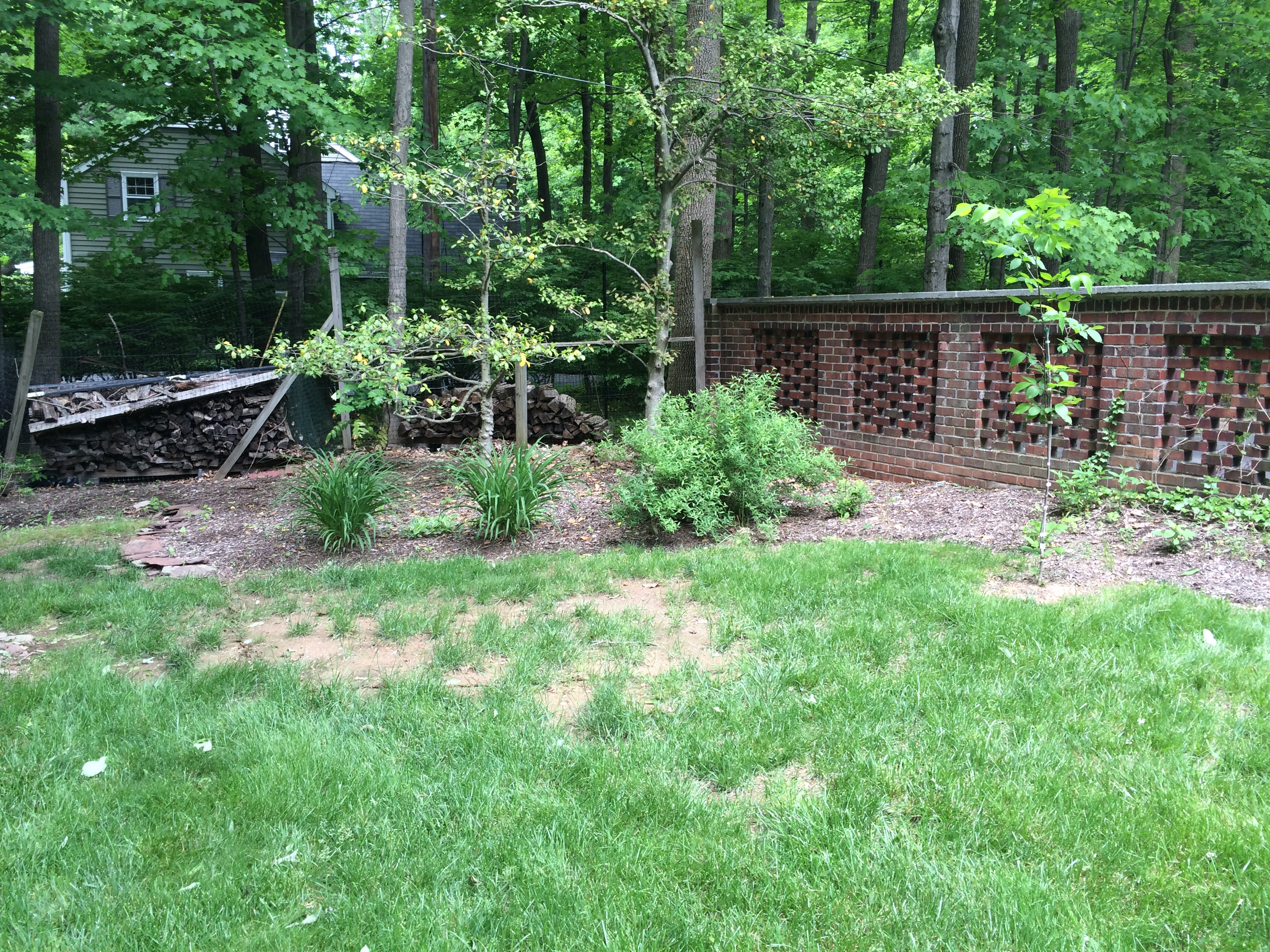 Before - Messy garden bed
