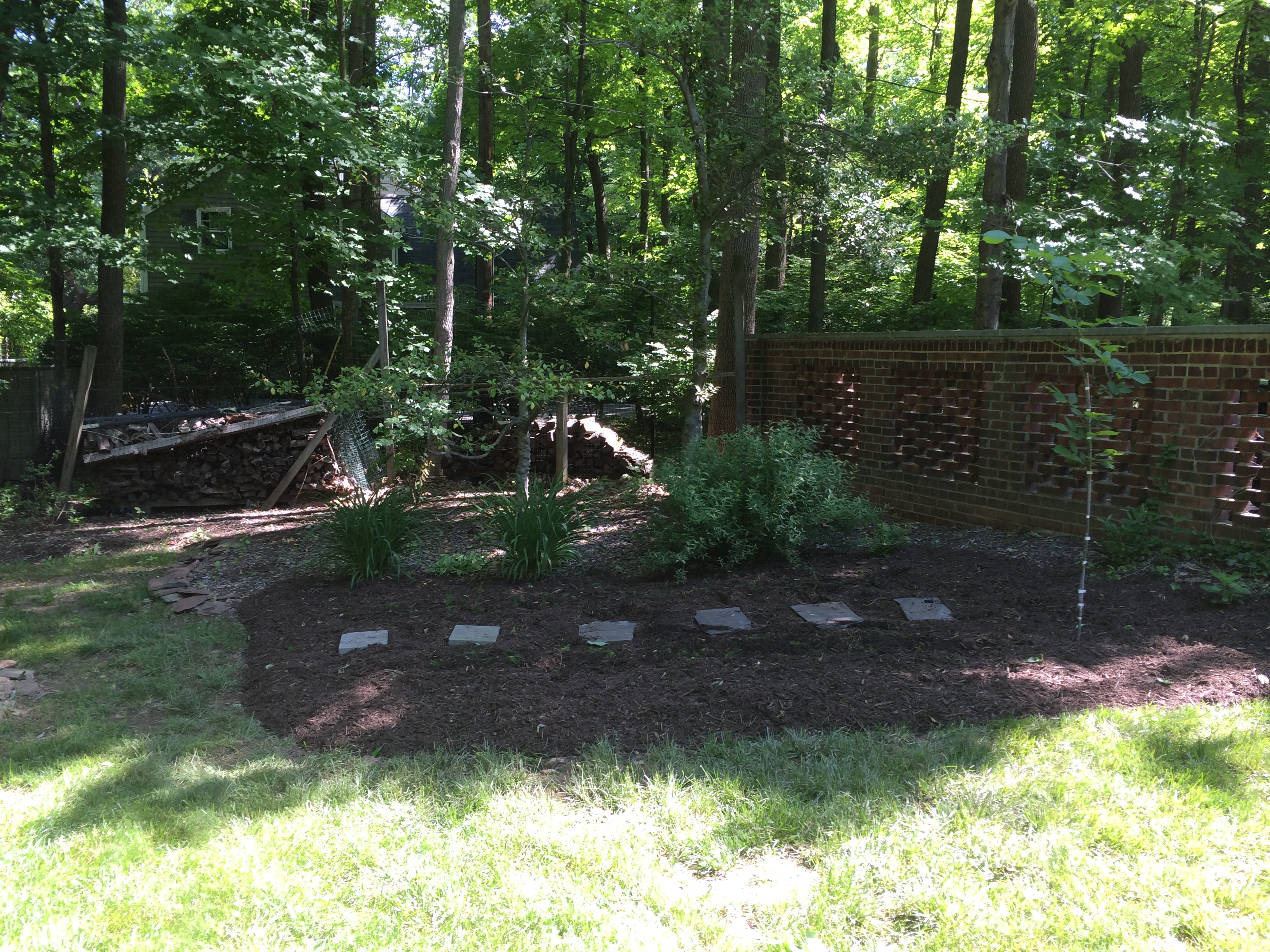 After - Clean and edged garden bed
