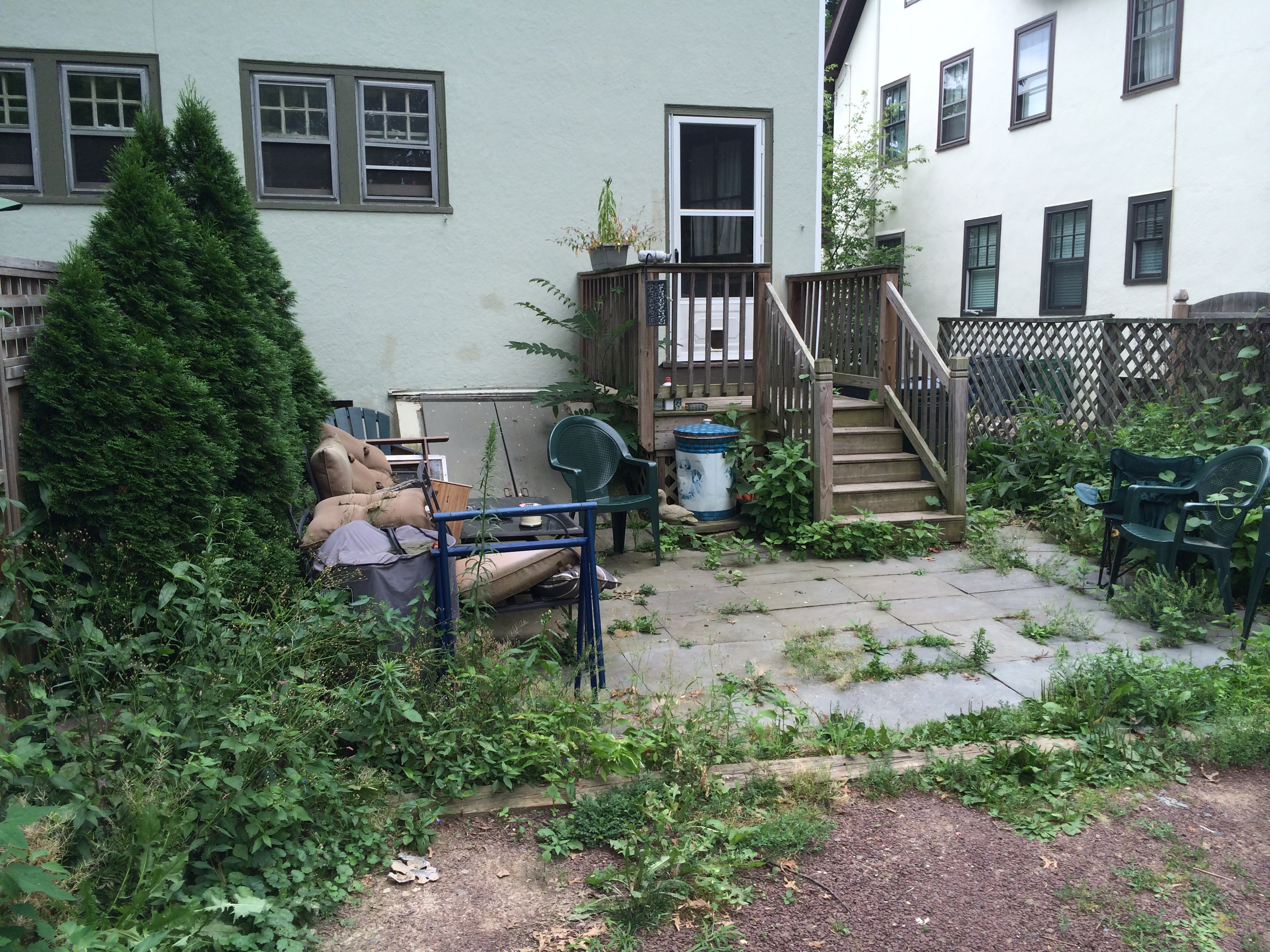 Before - Messy garden bed