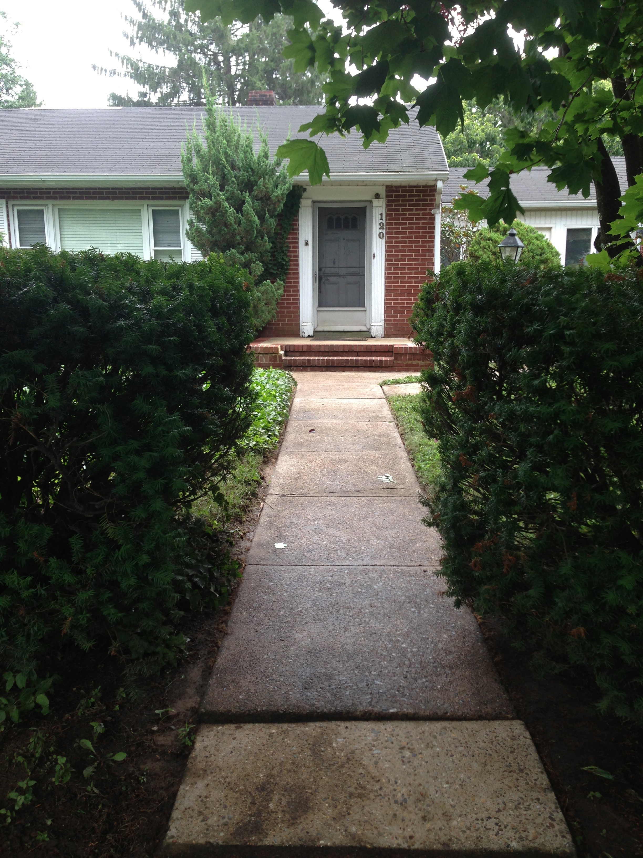 After - Clean and edged garden bed