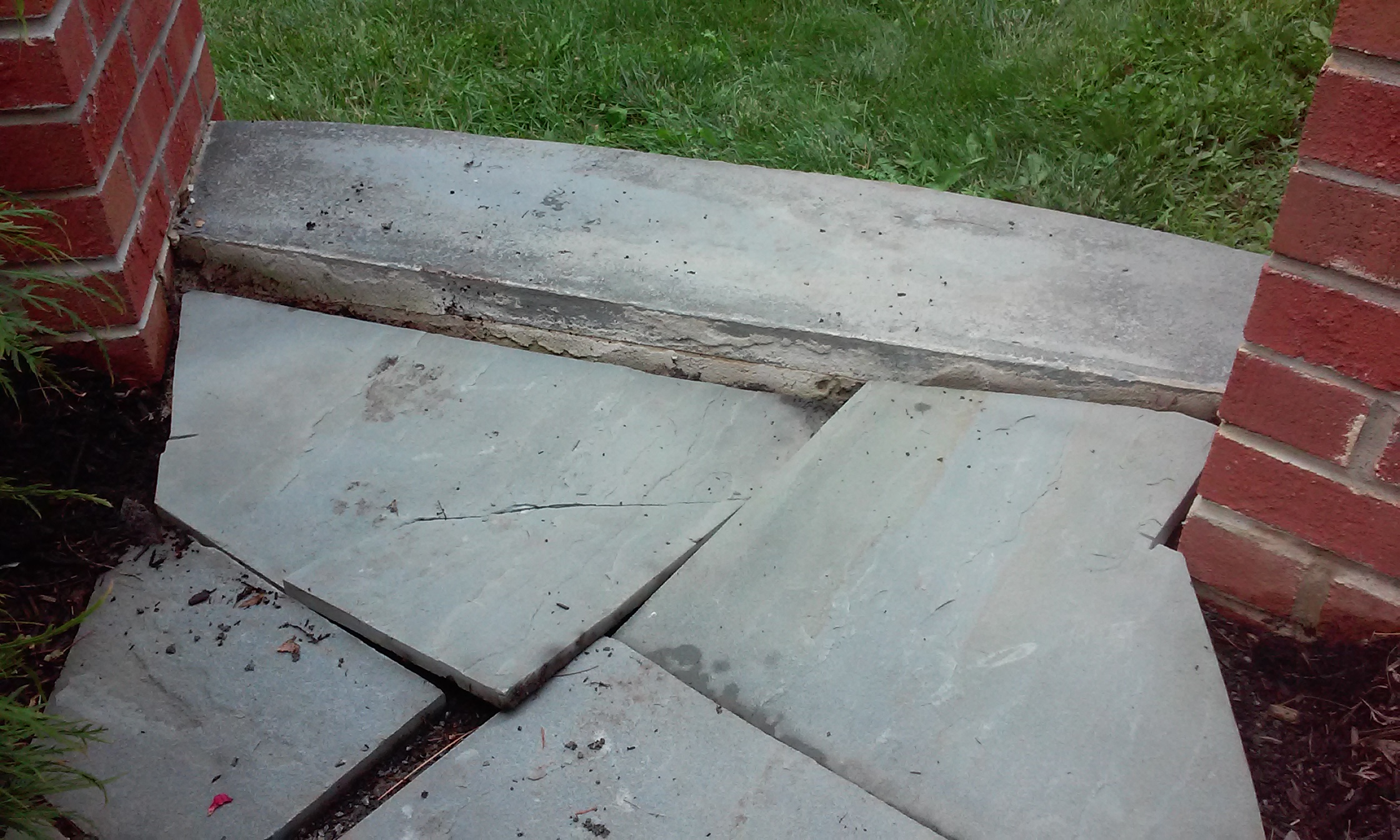 Before - Messy garden bed