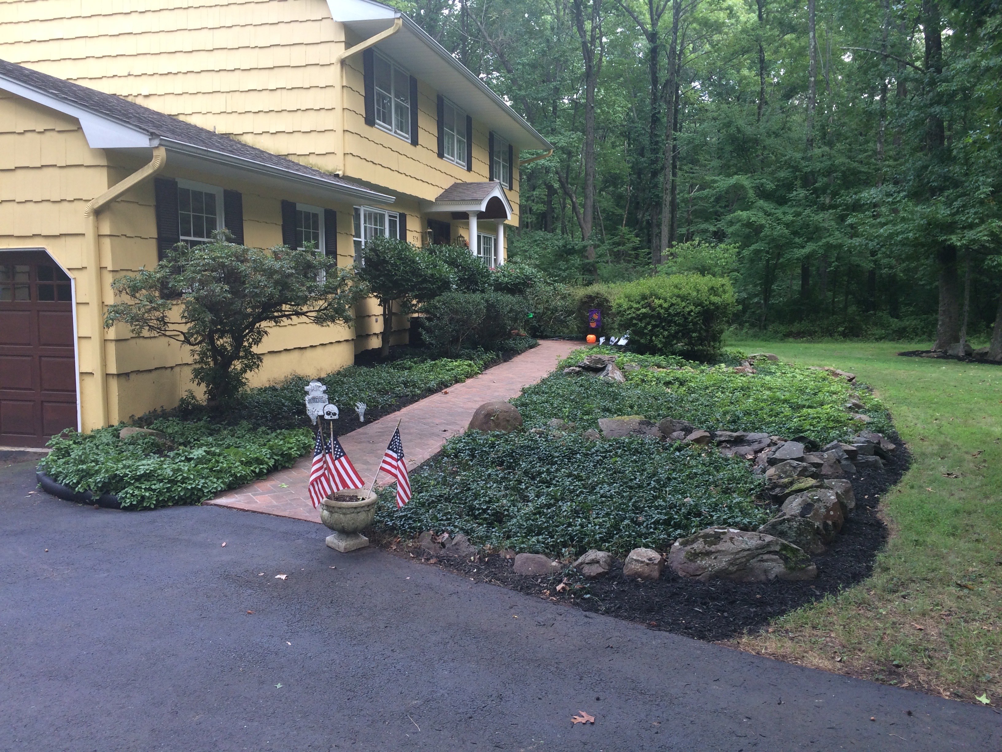After - Pruned and cleared yard