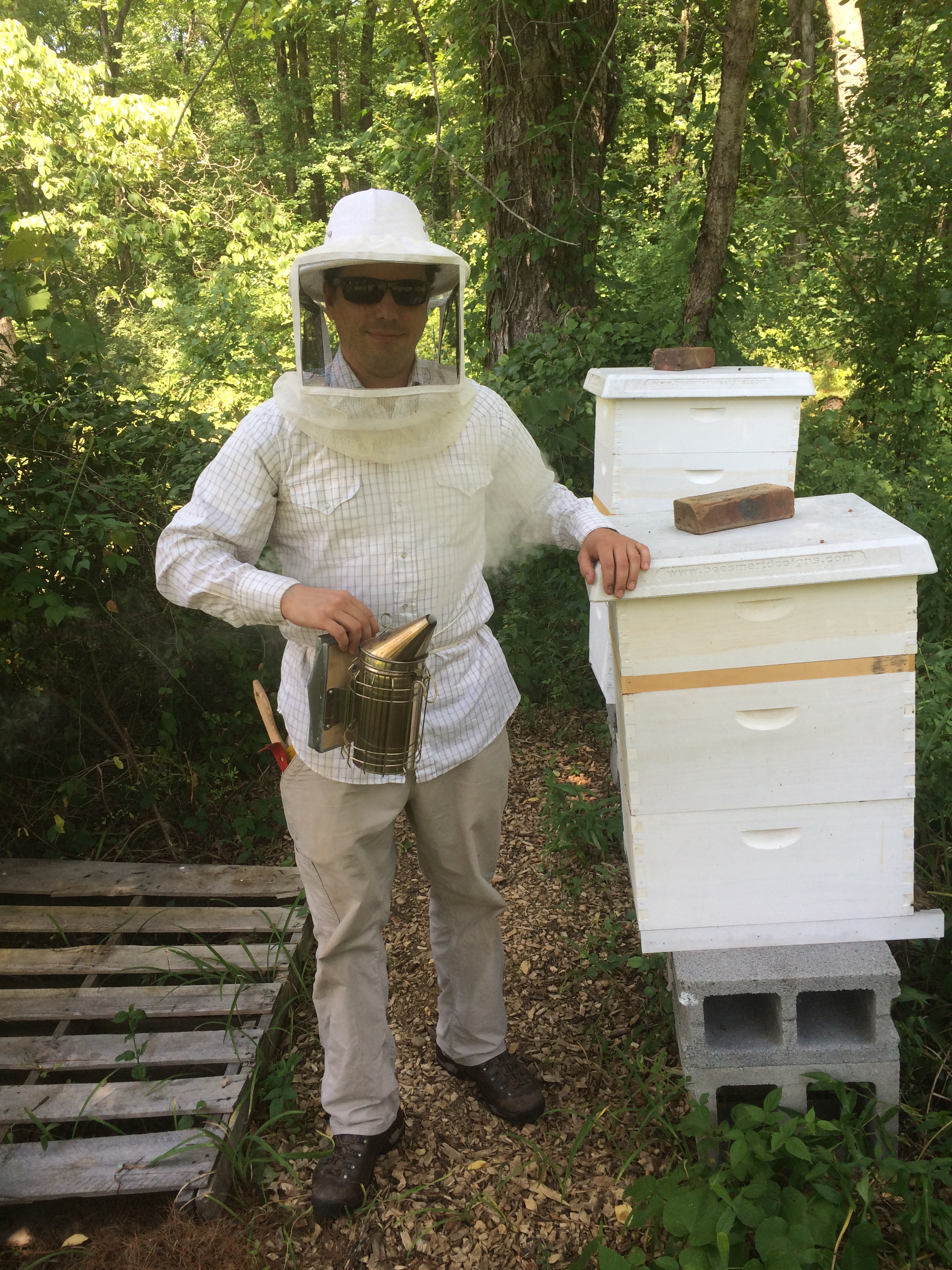 Beekeeping photo 2